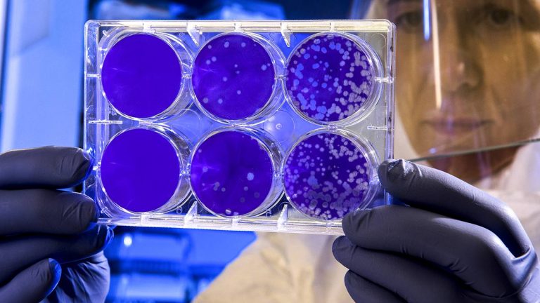 Confirman nueva cepa de Coronavirus en Tamaulipas