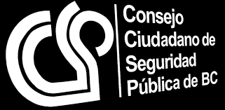 PREOCUPA A CONSEJO CIUDADANO DE SEGURIDAD DE BC INVOLUCRAMIENTO DE JÓVENES EN ACTIVIDADES DELICTIVAS