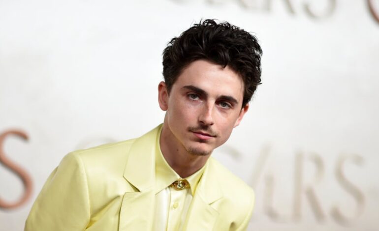 El polémico comentario de Timothée Chalamet que desató la controversia en el mundo de la danza y la ópera