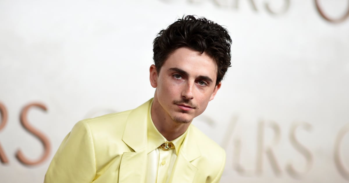 El polémico comentario de Timothée Chalamet que desató la controversia en el mundo de la danza y la ópera